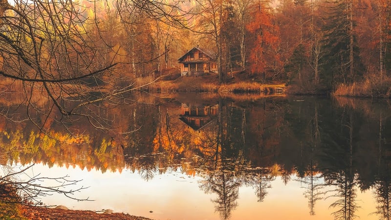 Cozy Cottage in the Woods